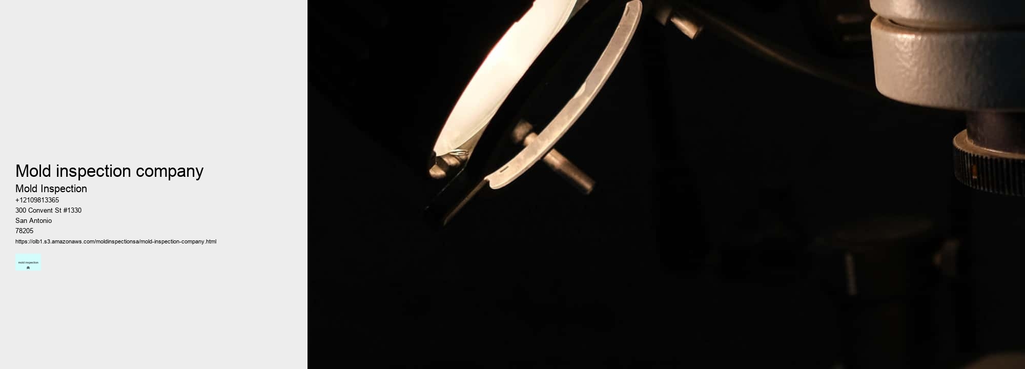 Find Out How To Effectively Clean Up and Remove Mold Now